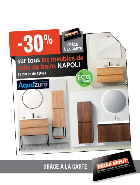 Promotion BRIKO DEPOT