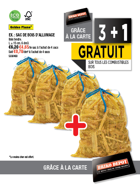 Promotion BRIKO DEPOT