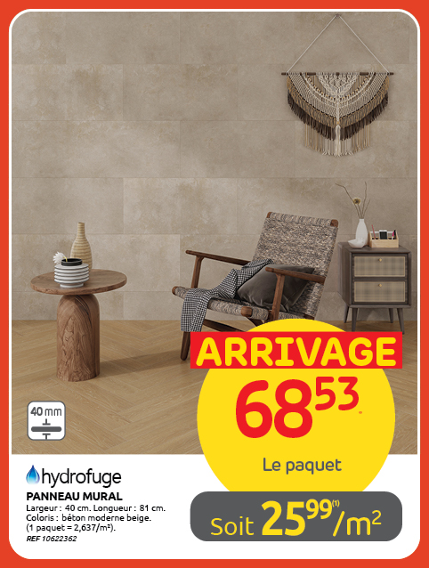 Promotion BRIKO DEPOT