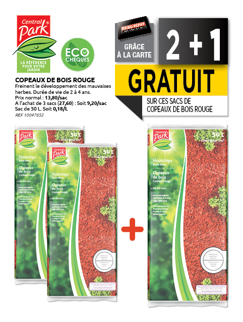 Promotion BRIKO DEPOT