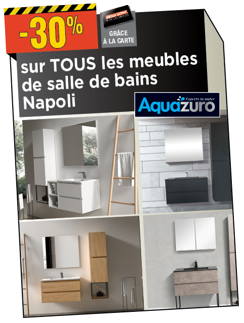 Promotion BRIKO DEPOT