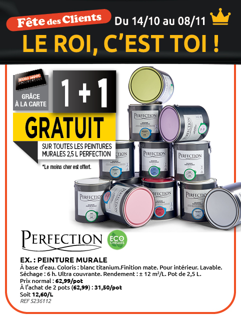 Promotion BRIKO DEPOT