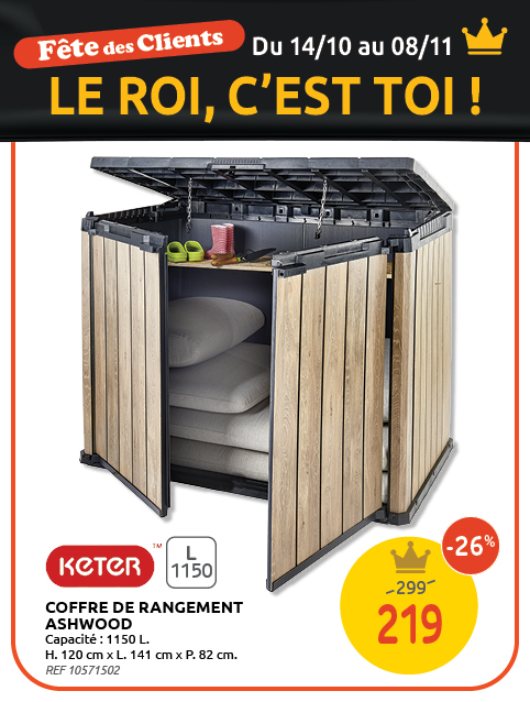 Promotion BRIKO DEPOT