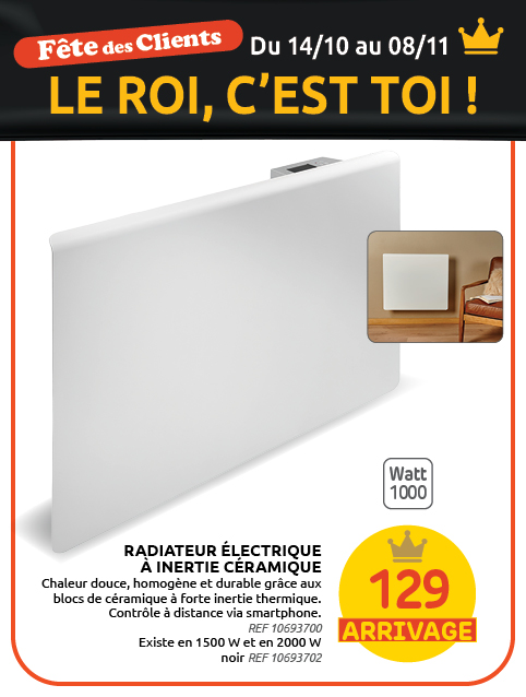 Promotion BRIKO DEPOT